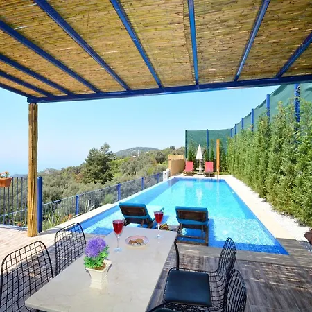 Вилла Private Oliver With View
